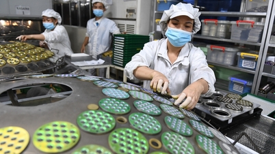 تغيير عرش التصدير: باك نينه يرتفع إلى المركز الأول، ومدينة هو تشي منه تتخلف عن الركب