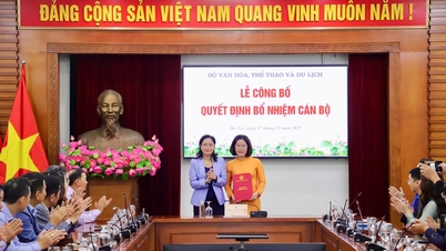 Міністерство культури, спорту та туризму оголосило та надало рішення щодо кадрової роботи.