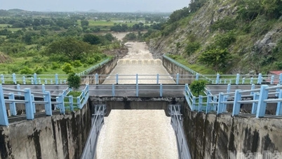 লাম ডং: প্রায় ১৫০টি হ্রদ ক্ষতিগ্রস্ত এবং অবনমিত হয়েছে