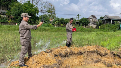Comuna de Nam Cua Viet: Ainda existem muitos projéteis de artilharia na área onde ocorreu a explosão.