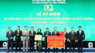 80 การเก็บเกี่ยวทองคำของภาคเกษตรกรรมและสิ่งแวดล้อมจังหวัดเหงะอาน
