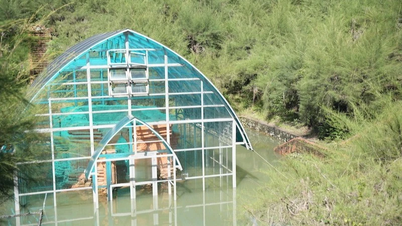Menjelaskan tanggungjawab dan mengatasi keadaan banjir yang berpanjangan di menara Phu Dien Cham
