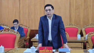 Khơi thông 'điểm nghẽn' pháp lý lĩnh vực nông nghiệp và môi trường