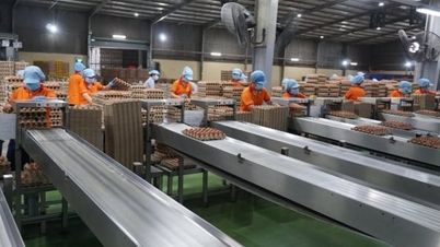 Věda a technika – „srdce“ živočišné a veterinární výroby