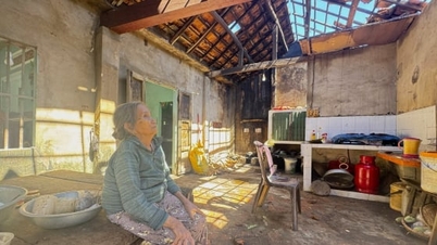 การรวมพลังเพื่อช่วยเหลือผู้คนให้มีชีวิตที่มั่นคงหลังพายุ