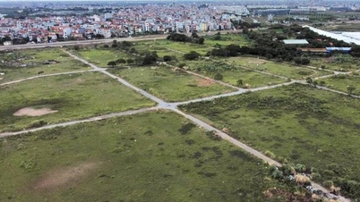 ដីឡូតិ៍ត្រូវមានរយៈពេល និងគោលបំណងប្រើប្រាស់ដូចគ្នា។