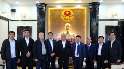 Lam Dong a provincie Džizak (Uzbekistán) posilují spolupráci v zemědělství a hedvábí