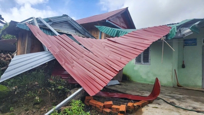 Urgent support of 80 billion for Quang Ngai, Gia Lai and Dak Lak to overcome the consequences of storm No. 13