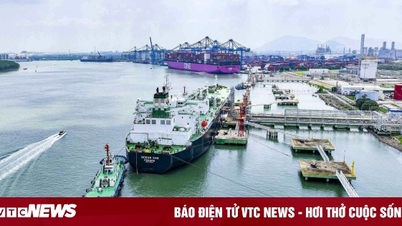 Cai Mep - Thi Vai: Den strategiske forbindelsen som bringer den nye Ho Chi Minh-byen ut til havet
