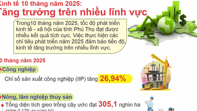 Économie – 10 mois de 2025 : Croissance dans de nombreux secteurs