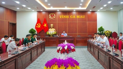 Cà Mau quyết tâm hoàn thành giải phóng mặt bằng các dự án trọng điểm trước ngày 19/12/2025.