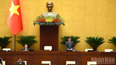 Perfecting the legal system on urban and rural planning suitable for two-level local government