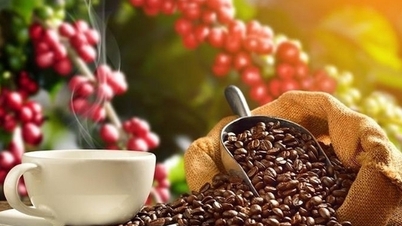 MARCHÉ DES MATIÈRES PREMIÈRES : Double crise sur le marché du café