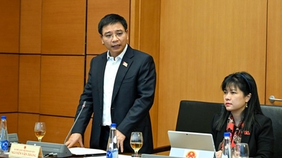 2–3 miljarder USD behövs för att investera i Tran De-hamnen ”för att göra vinst”