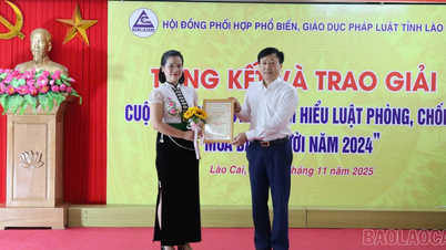 Resumo do concurso online "Aprendendo sobre a Lei de Prevenção e Controle do Tráfico de Seres Humanos em 2024"