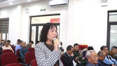 Dinh Cong-distriktet: Folk sendte inn begjæringer til mange saker knyttet til infrastruktur og byorden.