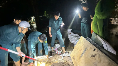 Người dân TPHCM "chạy đua cùng con nước"