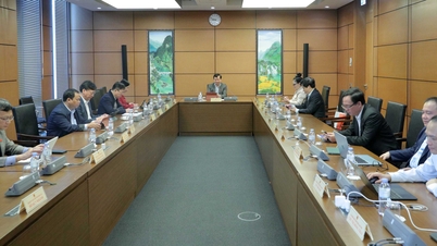 National Assembly Delegate of Hue City proposed to supplement the planning of sea dikes and underground space.