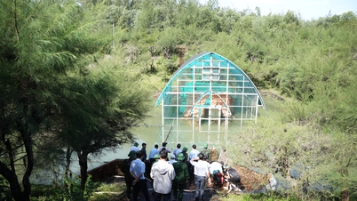 Overcoming flooding at Phu Dien Cham tower relic