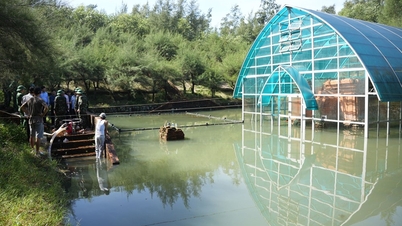 Sürgősen kezelni kell az árvizet a Phu Dien Cham-torony nemzeti emlékműnél