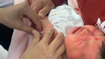 확대예방접종사업 및 의무예방접종 대상자 보충