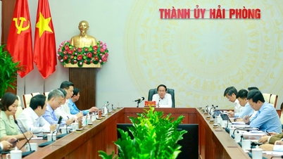 تسريع إنشاء المنطقة الاقتصادية الخاصة في هاي فونغ