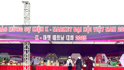 Hơn 100 gian hàng tham dự “2025 K - VietNam Pop-up Festa in Da Lat”