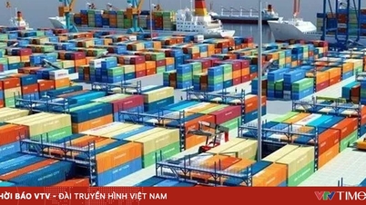 Export za 10 měsíců dosáhl více než 390 miliard USD