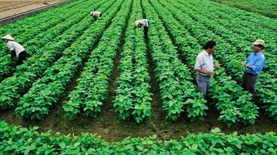 토지이용료 일부 규정 개정