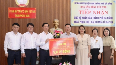 Hải Phòng ủng hộ 5 tỷ đồng hỗ trợ người dân Đà Nẵng khắc phục hậu quả mưa lũ