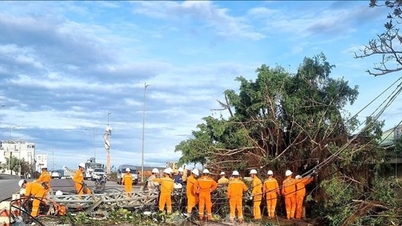 ទីក្រុង Da Nang ឧបត្ថម្ភខេត្តចំនួន៣ Dak Lak, Gia Lai, Quang Ngai ៥ពាន់លានដុង ដើម្បីជំនះផលវិបាកដោយព្យុះលេខ១៣។