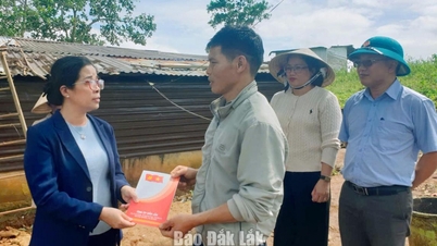 Phó Bí thư Tỉnh ủy Huỳnh Thị Chiến Hòa kiểm tra công tác khắc phục hậu quả bão số 13 tại xã Tam Giang