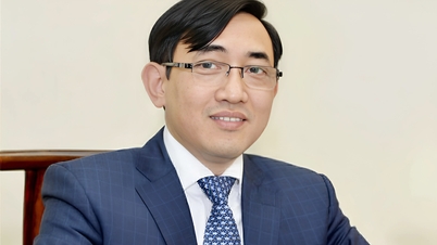 Giáo sư giàu nhất Việt Nam: Top 5 trên sàn chứng khoán, sắp là tỷ phú USD