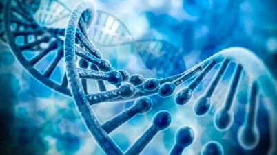 Xác định thành công tuổi người chỉ dựa trên mẫu ADN