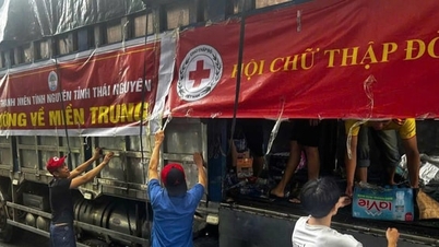 Hội Chữ thập đỏ Việt Nam cứu trợ khẩn cấp người dân 6 tỉnh miền Trung bị thiệt hại do mưa lũ