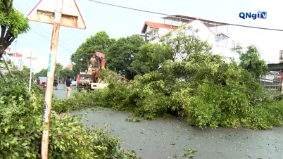 Banyak rumah yang atapnya diterbangkan dan pokok tumbang.