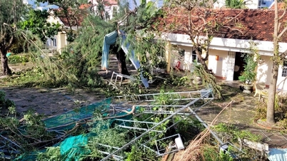 El sector educativo sufrió daños por valor de casi 14 mil millones de VND tras la tormenta número 13.