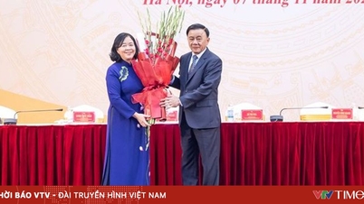 Mevrouw Bui Thi Minh Hoai werd verkozen tot voorzitter van het Centraal Comité van het Vietnamese Vaderlandsfront.