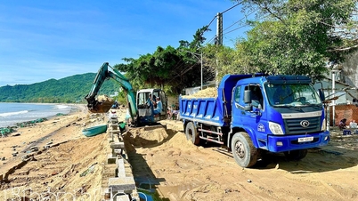 Xã Đại Lãnh: Bão số 13 gây thiệt hại 6,5 tỷ đồng về nuôi trồng thủy sản