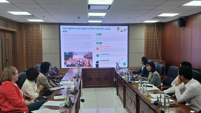 Trabalhando com um grupo de especialistas estrangeiros no levantamento e implementação do projeto: Valorizando e promovendo o desenvolvimento sustentável da indústria cafeeira vietnamita.