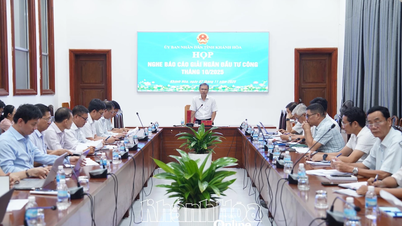 پرداخت سرمایه گذاری عمومی در 10 ماه به بیش از 7133 میلیارد دانگ رسید