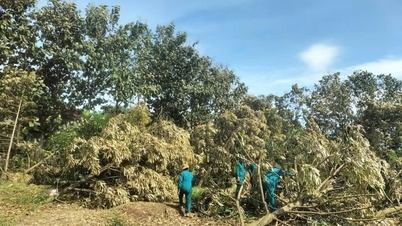 طوفان شماره ۱۳ به بسیاری از سازه‌ها و محصولات کشاورزی در بخش Ea Wy خسارت وارد کرد.