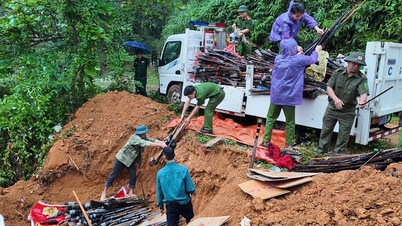 1.693 khẩu súng và nhiều vũ khí, vật liệu nổ được thu hồi