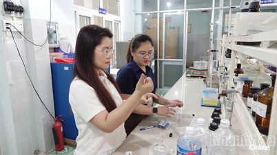 העברת טכניקות לניטור סביבת עבודה