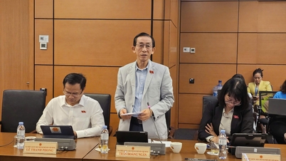 National Assembly delegate recounts the suffering of a 3-generation household 'stuck' in suspended planning