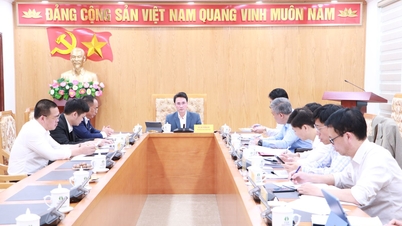 İl Halk Komitesi Başkan Yardımcısı Ha Trong Hai, Vietnam Macadamia Derneği ile çalıştı
