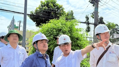 南部の電力確保：EVNSPCは投資と建設工事に尽力