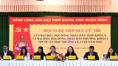 ผู้มีสิทธิเลือกตั้งในเขตซวนเติง-ดาลัต ยื่นคำร้องเพื่อแก้ไขสถานการณ์ดินถล่มโดยเร็ว