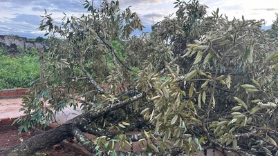 ১৩ নম্বর ঝড়ের পর ইয়া দ্রাং কমিউন সক্রিয়ভাবে ক্ষতি কাটিয়ে উঠেছে