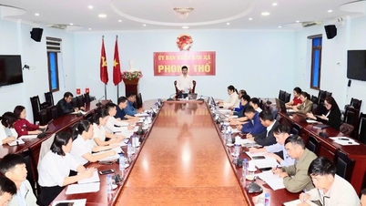 Reuniunea Comitetului Director privind implementarea politicilor de asigurări sociale, asigurări de sănătate și asigurări de șomaj în 2025